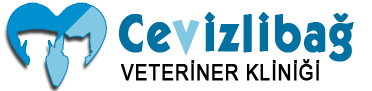 Cevizlibağ Veteriner Kliniği; Zeytinburnu Merter Bakırköy Cevizlibağ